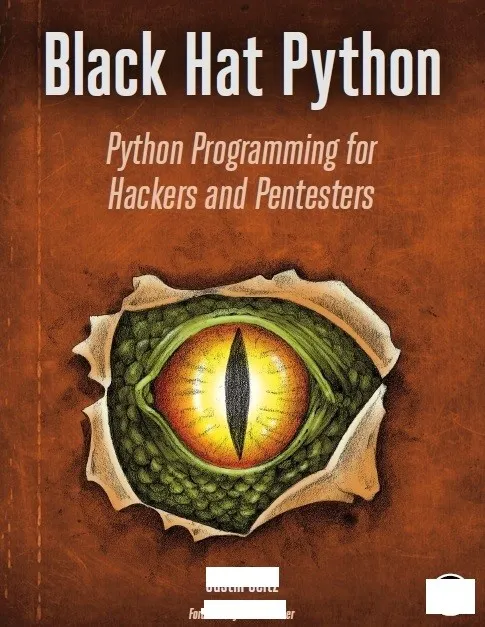 Black Hat Python