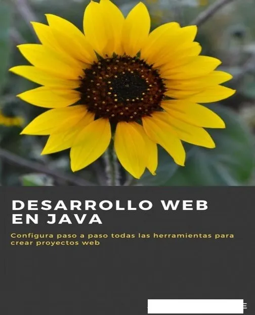 Desarrollo Web en JAVA