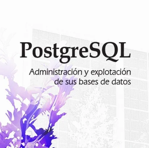 PostgresSQL Administracion y Explotacion De Sus Bases De Datos