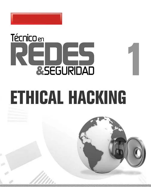 Técnico en Redes y Seguridad